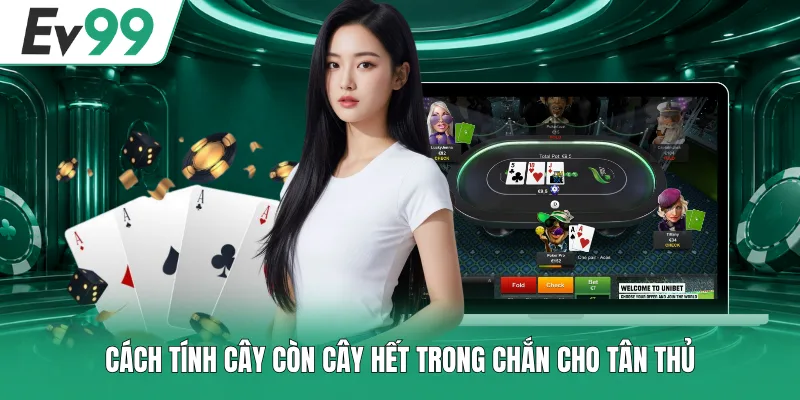 Hướng Dẫn Cách Tính Cây Còn Cây Hết Trong Chắn Cho Tân Thủ