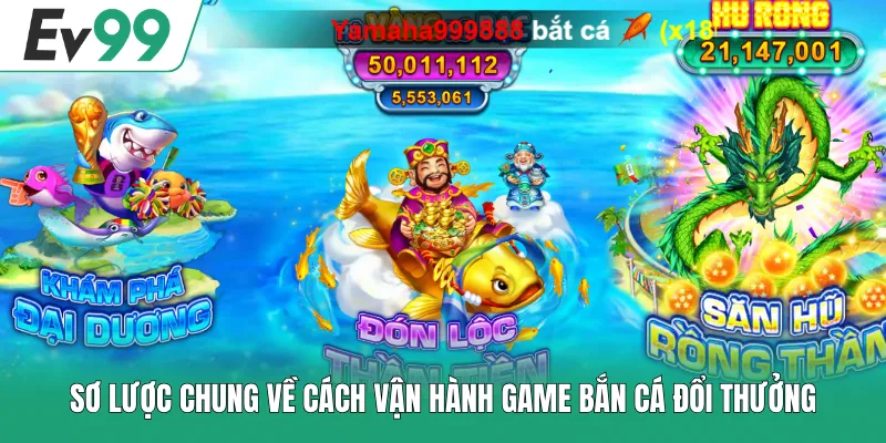 Tổng Hợp 3 Mẹo Bắn Cá Đổi Thưởng 3D Để Tân Binh Áp Dụng Tổng Hợp 3 Mẹo Bắn Cá Đổi Thưởng 3D Để Tân Binh Áp Dụng