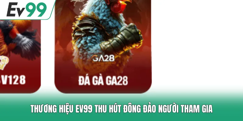 Đá Gà EV99 - Sân Chơi Hội Tụ Những Trận Chọi Kê Hấp Dẫn
